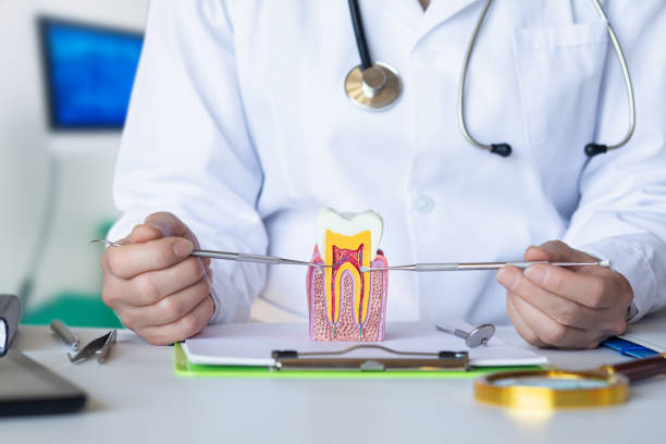 Best Emergency Dentist for Knocked-Out Tooth in Cowan, TN